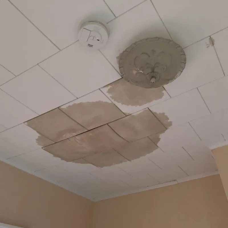 Ceiling Water Damage Repair in Charlotte Hall, MD