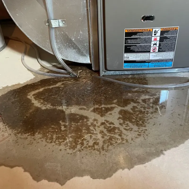 Pipe Burst and Leak Restoration in Charlotte Hall, MD